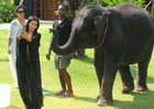 What happened when Kim Kardashian tried taking selfie with an elephant?